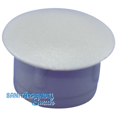 Abdeckkappe fr Blindlcher, Auen 13, Schaft 10, Kunststoff silber RAL 9006