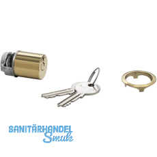 JuNie 7638 ASS Schlieeinsatz Zylinder verschiedensperrend, Messing poliert