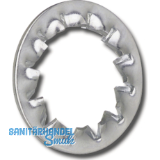 DIN6798I M 6 Edelstahl A2 Fcherscheibe innengezahnt