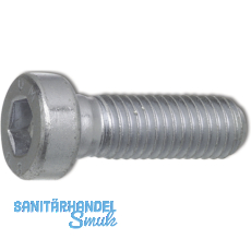 DIN6912 8.8 M 6x 12 verzinkt Zylinderschraube mit niedrigem Kopf,Innensechskant