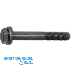 EN1665 10.9 M 8x 60 blank Sechskantschr. m. Flansch (DIN 6921)