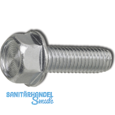 DIN7500DE (D) M 8x30 verzinkt gewindefurchende 6kt-Schraube mit Bund