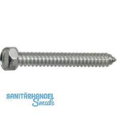 DIN7976C 5.5x 19 verzinkt Sechskantkopf-Blechschraube ~ISO1479