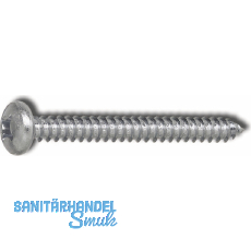 DIN7981C 6.3x100 PH-Kreuzschlitz verzinkt Linsen-Blechschraube ~ISO7049