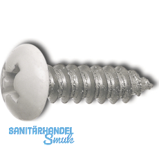 DIN7981C 5.5x 16 PH-Kreuzschlitz Kopf RAL7037 staubgrau beschichtet ~ISO7049