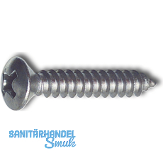 DIN7983C 4.2x 38 Phillips-KS Edelstahl A2 Linsensenkkopf-Blechschraube ~ISO7051