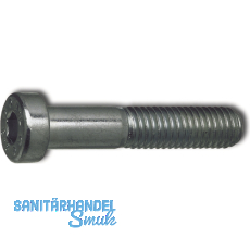 DIN7984 10.9 M 6x 12 blank Zylinderschraube mit niedrigem Kopf und Innensechskt.