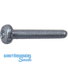 ISO14583 4.8 M 6x20 Torx 30 verzinkt Linsenschraube (DIN7985A)