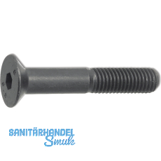 ISO10642 10.9 M 6x 12 blank Senkschraube mit Innensechskant (~DIN7991)