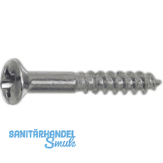 DIN7995 3.5 x 20 Pozidriv 2 Messing verchromt Holzschraube Linsensenkkopf