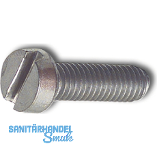 ~ISO1207 M 4x 30 Edelstahl A2 Zylinderschraube mit Schlitz (DIN 84A)