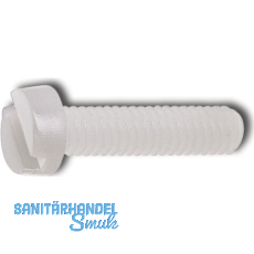 ~ISO1207 M 5x 30 PA 6.6 Polyamid natur Zylinderschraube mit Schlitz (~DIN 84A)