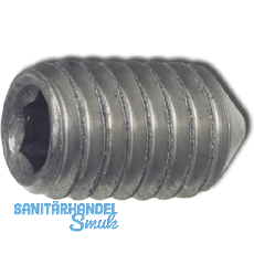 ISO4027 M 6x 8 Edelstahl A2 Gewindestift mit Spitze Innensechskant (DIN 914)