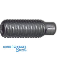 ISO4028 45H M 4x 12 blank Gewindestift mit Zapfen und Innensechskant (DIN 915)