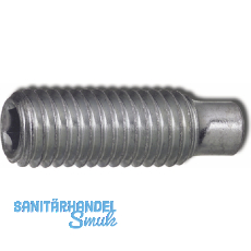 ISO4028 45H M 5x 6 verzinkt Gewindestift mit Zapfen Innensechskant (DIN 915)