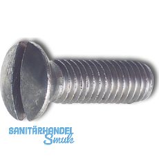 DIN 964A M 5x 25 Edelstahl A4 Linsenschraube mit Schlitz