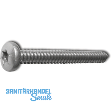 DIN7981C 2.9x9.5 Torx 8 Edelstahl A2 Linsen-Blechschraube ~ISO14585