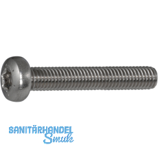 ISO14583 M 4x 35 Torx 20 Edelstahl A2 Linsenschraube (DIN7985A)