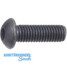 ISO7380-1 10.9 M 5x20 blank Linsenschraube mit Innensechskant