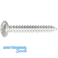 Fensterbankschraube 3.9x16 Phillips Kreuzschlitz Edelstahl A2