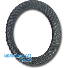 SCHNORR Sicherungsscheibe "S" M12 Federstahl blank