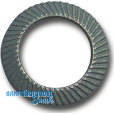 SCHNORR Sicherungsscheibe "S" M 3 Federstahl mechanisch verzinkt