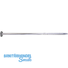 SPEED Holzbauschraube Tellerkopf 10x380 TG TX40 EFP-beschichtet mit Zulassung