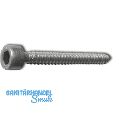 Blechschraube 4.8x19 Edelstahl A2 mit Zylinderkopf ~912