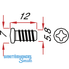 Befestigungsschraube - Euroschraube 6 x 10.5 mm, vernickelt, VPE 100 ST