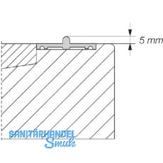 HAUTAU ATRIUM HS 300 Laufschiene Nr. 27 Holz, H=5mm, L=6500 mm, silber eloxiert