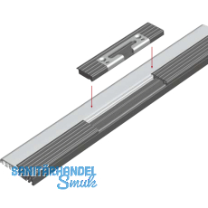 Balkontrschwelle Eifel TB-100, 6000 mm, silber eloxiert/grau