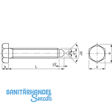 DIN 564 M 6x 12 blank Sechskantschraube mit Ansatzspitze