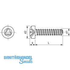 DIN7500PE (CT) M 6x40 Torx 30 verzinkt gewindefurchende Linsenschraube