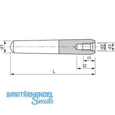 DIN7978A 6x 50 Toleranzfeld h10 blank Kegelstift mit Innengewinde