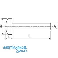 ISO14583 M 4x 35 Torx 20 Edelstahl A2 Linsenschraube (DIN7985A)