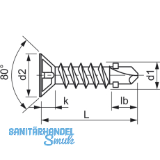 DIN7504 5.5x60 Phillips Kreuzschlitz verzinkt Flgelbohrschraube Senkkopf