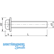 ecosyn-fix M 4x 8 Torx 20 Edelstahl A2 Flanschschraube fr Apparatebau