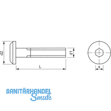 Zylinderkopfschraube M6x100 Gte 4.8 verzinkt mit Innensechskant SW 4