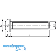 ~ISO7380 8.8 M 4x 6 Torx 20 verzinkt Linsenschraube