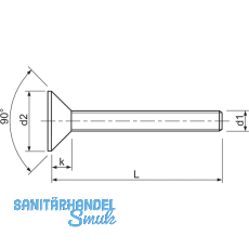 ISO14581 8.8 M 6x45 Torx 30 verzinkt Senkschraube