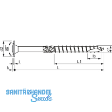 SPEED Holzbauschraube Tellerkopf 10x380 TG TX40 EFP-beschichtet mit Zulassung