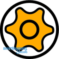 SPAX Bit-Einsatz T-Star 1/4\"sechskant TX 20/50 mm Zapfenfhrung, Inhalt 5 Stck