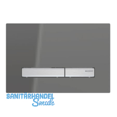Geberit Bet.Pl. Sigma50 2M Rauchgl versp