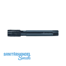 WALTER PROTOTYP Maschinen-Gewindebohrer HSS-E DIN376 �berlaufschaft M 12