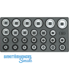 GEDORE Satz Steckschl�ssel-Eins�tze 1/2" 1500 ES-19 in 1/3 ES-Modul 26-teilig