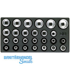 GEDORE Satz Steckschlüssel-Einsätze 1/2" 1500 ES-D19 in 1/3 ES-Modul 26-teilig GEDORE Satz Steckschlüssel-Einsätze 1/2" 1500 ES-D19 in 1/3 ES-Modul 26-teilig