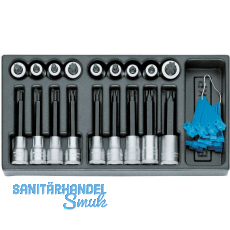 GEDORE Satz Schraubendrehereinsätze 1/2"1500 ES-ITX19LKP in 1/3 ES-Modul 18-tlg. GEDORE Satz Schraubendrehereinsätze 1/2"1500 ES-ITX19LKP in 1/3 ES-Modul 18-tlg.