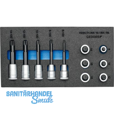 GEDORE 1/3 Check-Tool- Modul EI 1500 CT1-INX19LK Breite 157,5 mm Tiefe 310 mm GEDORE 1/3 Check-Tool- Modul EI 1500 CT1-INX19LK Breite 157,5 mm Tiefe 310 mm
