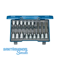 GEDORE Schraubendreher-Einsatz-Satz IN19LKM 1/2"vierkant 15-teilig