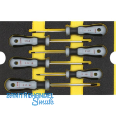 WGB Moflex Modul M Schraubendreher TX 6250 6-teilig WGB Moflex Modul M Schraubendreher TX 6250 6-teilig